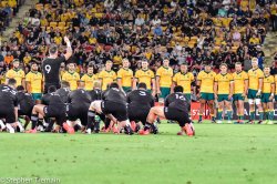 All Black's Haka